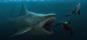 Megalodon