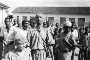 Holocausto Brasileiro Hospital Colônia