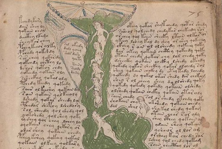 voynich manuscript translation 2019
